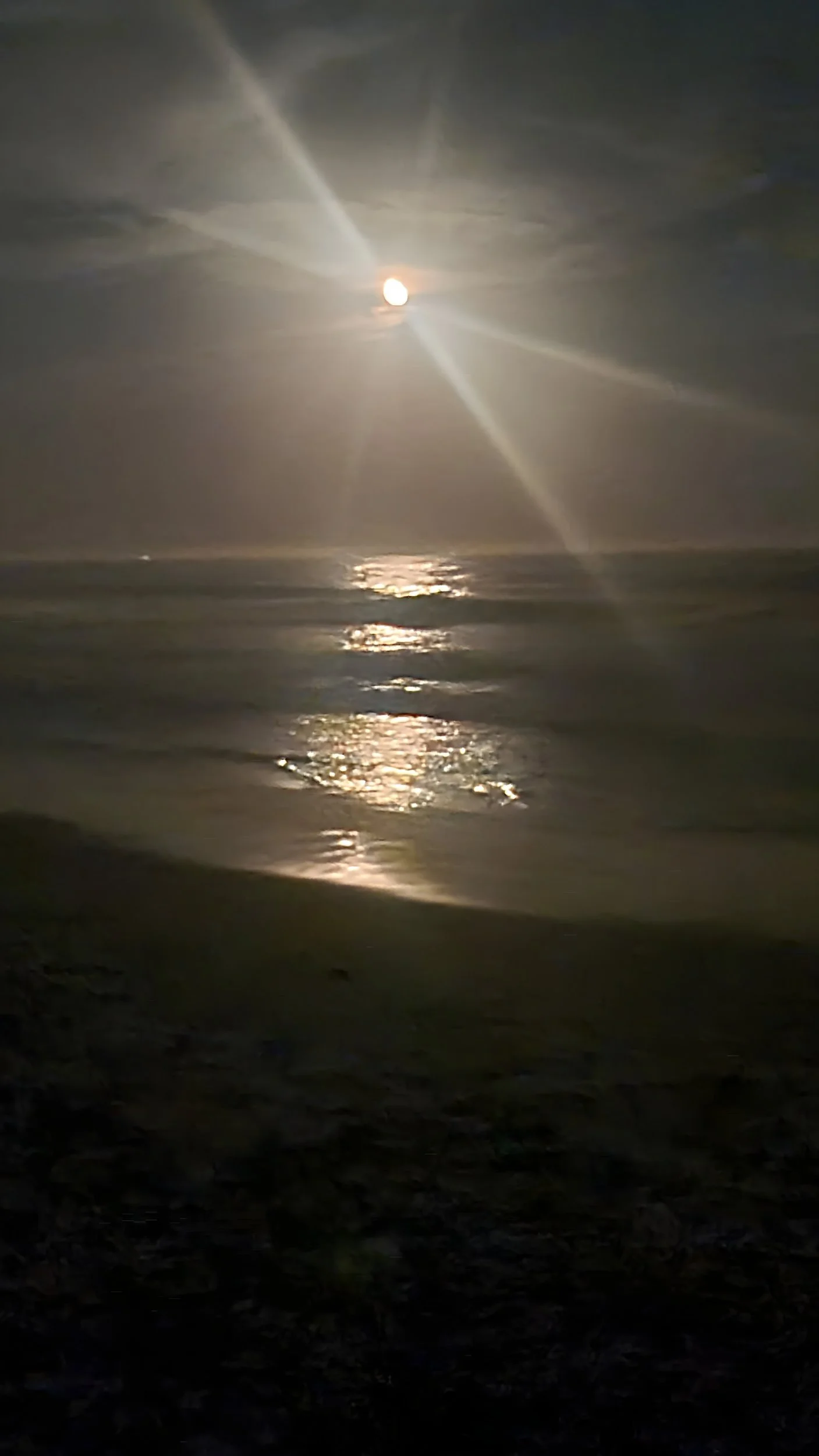 No-M05-El-Camino-de-la-Luna_web.jpg
