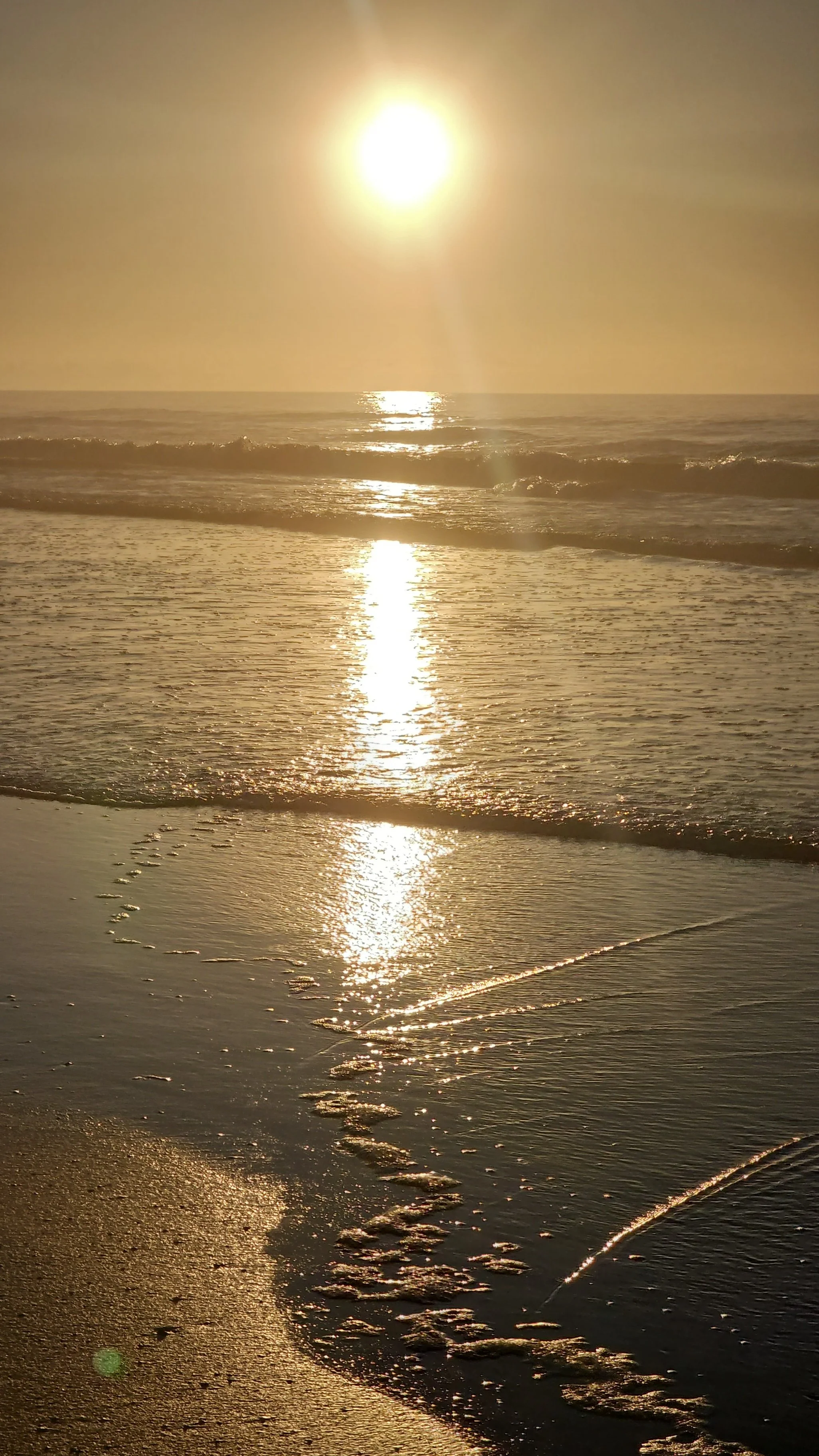 sun-003.jpg