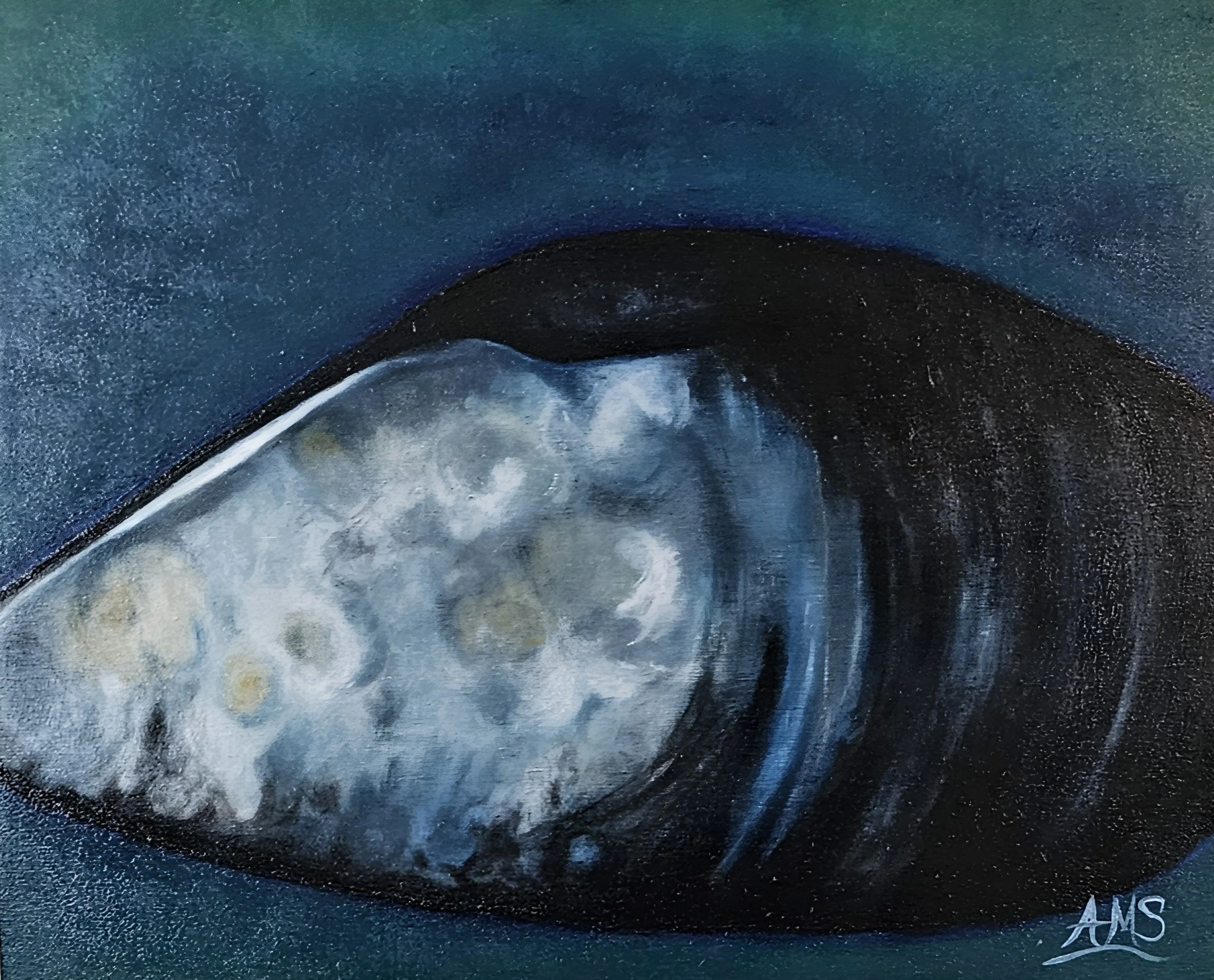 No. 014 — La Moule Endormie (Original)