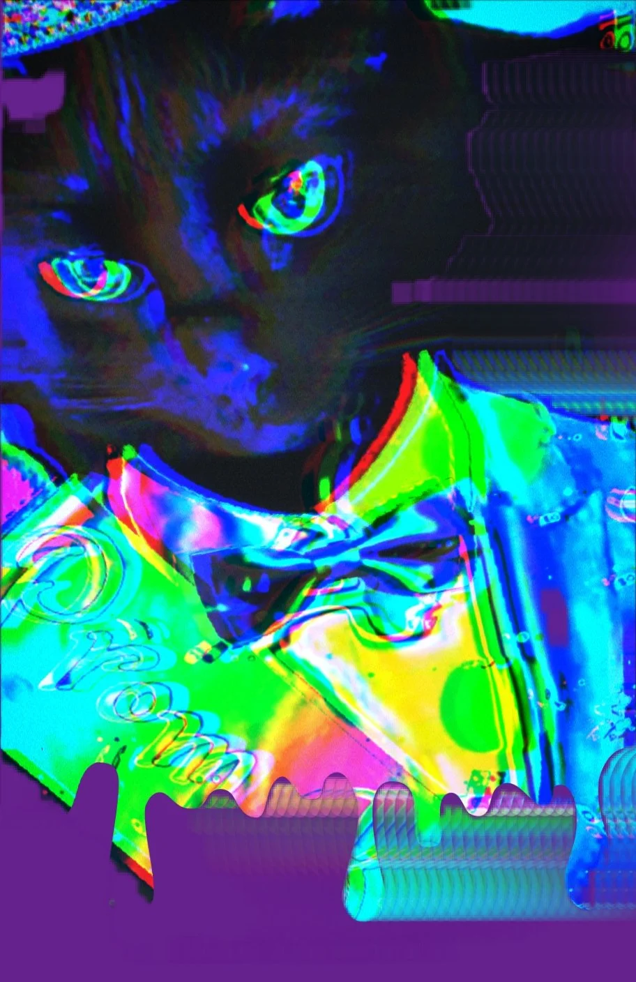 phone-053-glitch-cat-bowtie.jpg