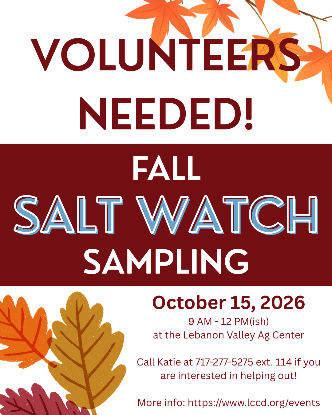 Fall Salt Watch