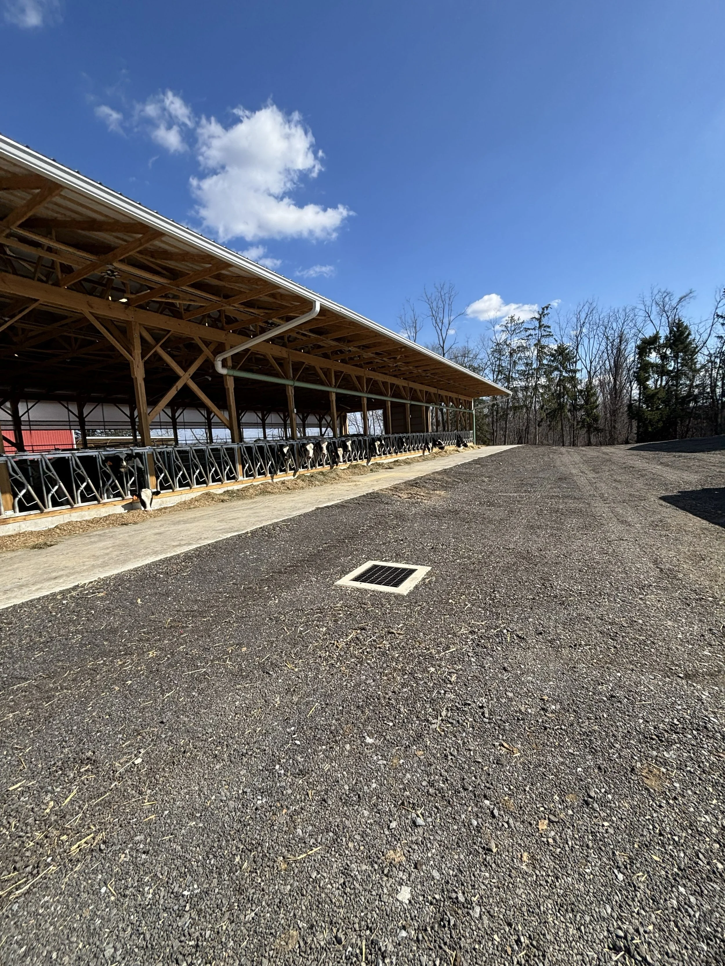 Stabilized heavy use area