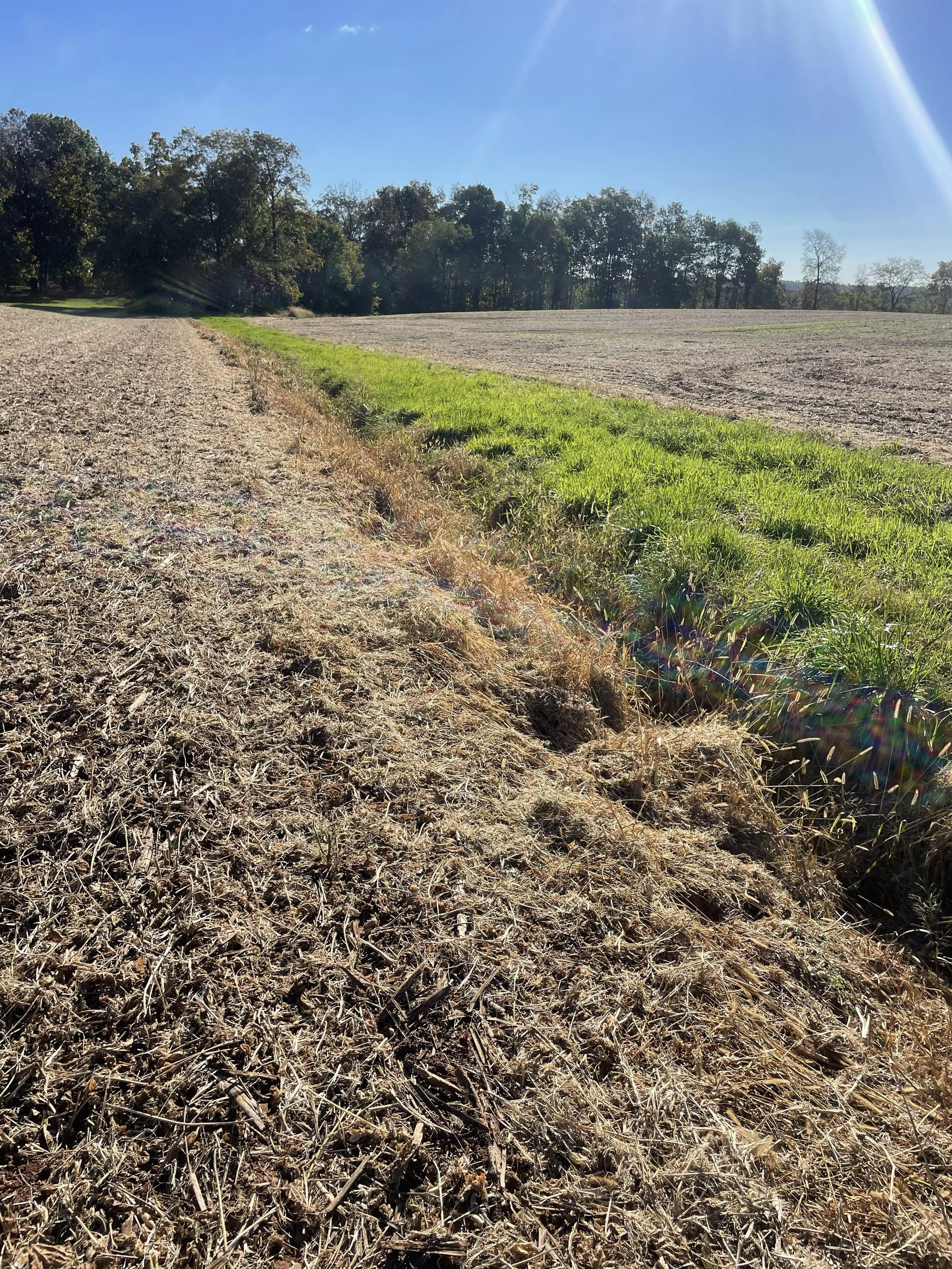 Outlet stabilization