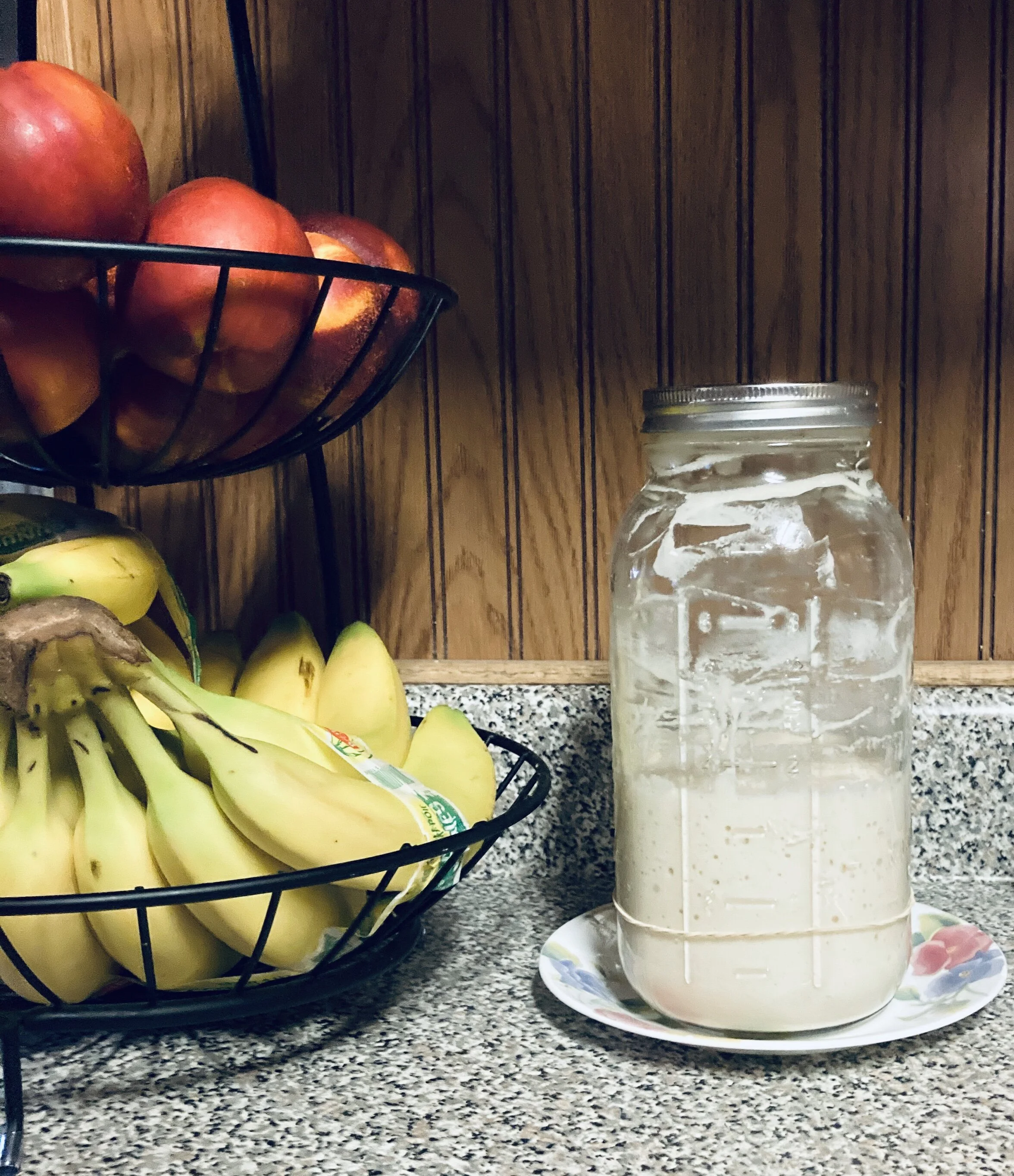 What is Sourdough Starter