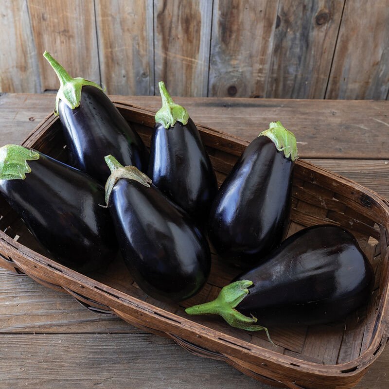 eggplant.jpeg
