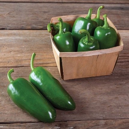 Pantera Jalapeño.jpg