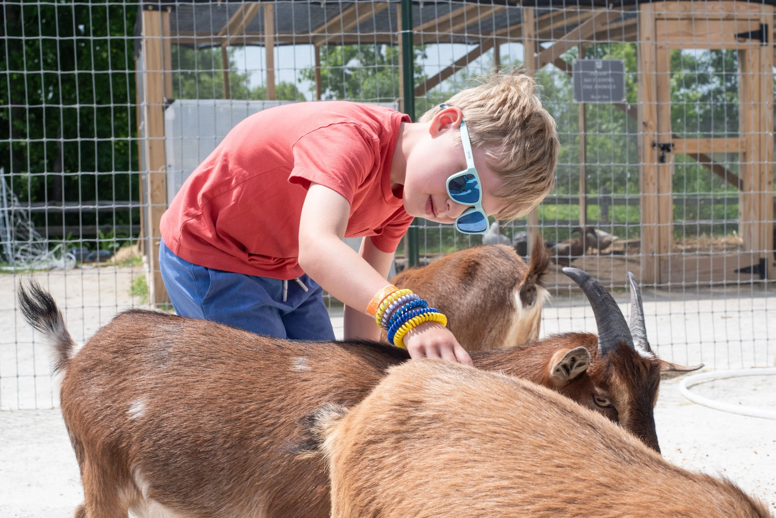 Camp Elawa Session VII: Week of August 3| Farm Camp (ages 5-7)