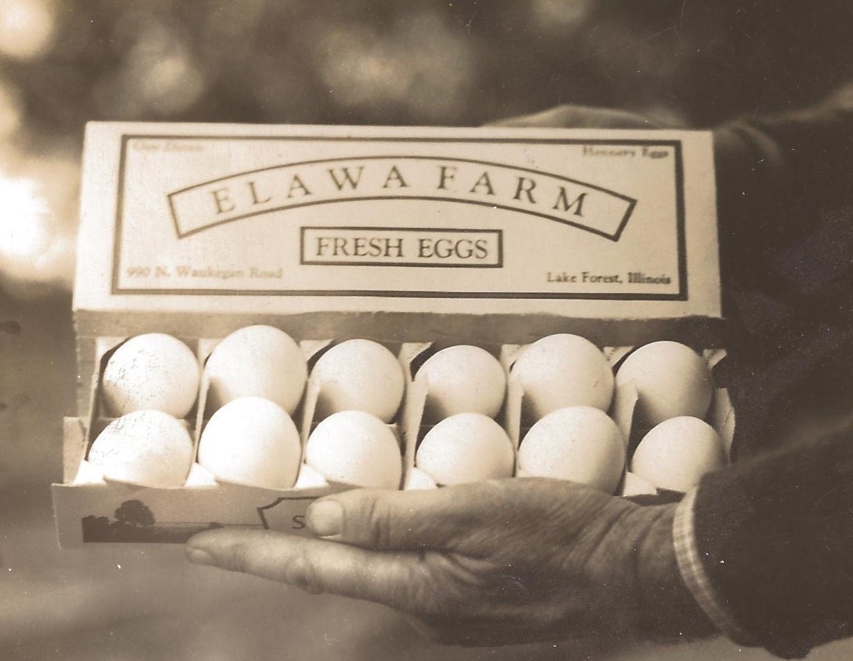 Who We Are — Elawa Farm Foundation