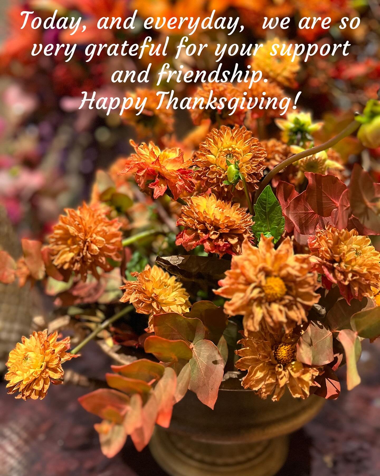 #happythanksgivng #grateful #poppystylenj