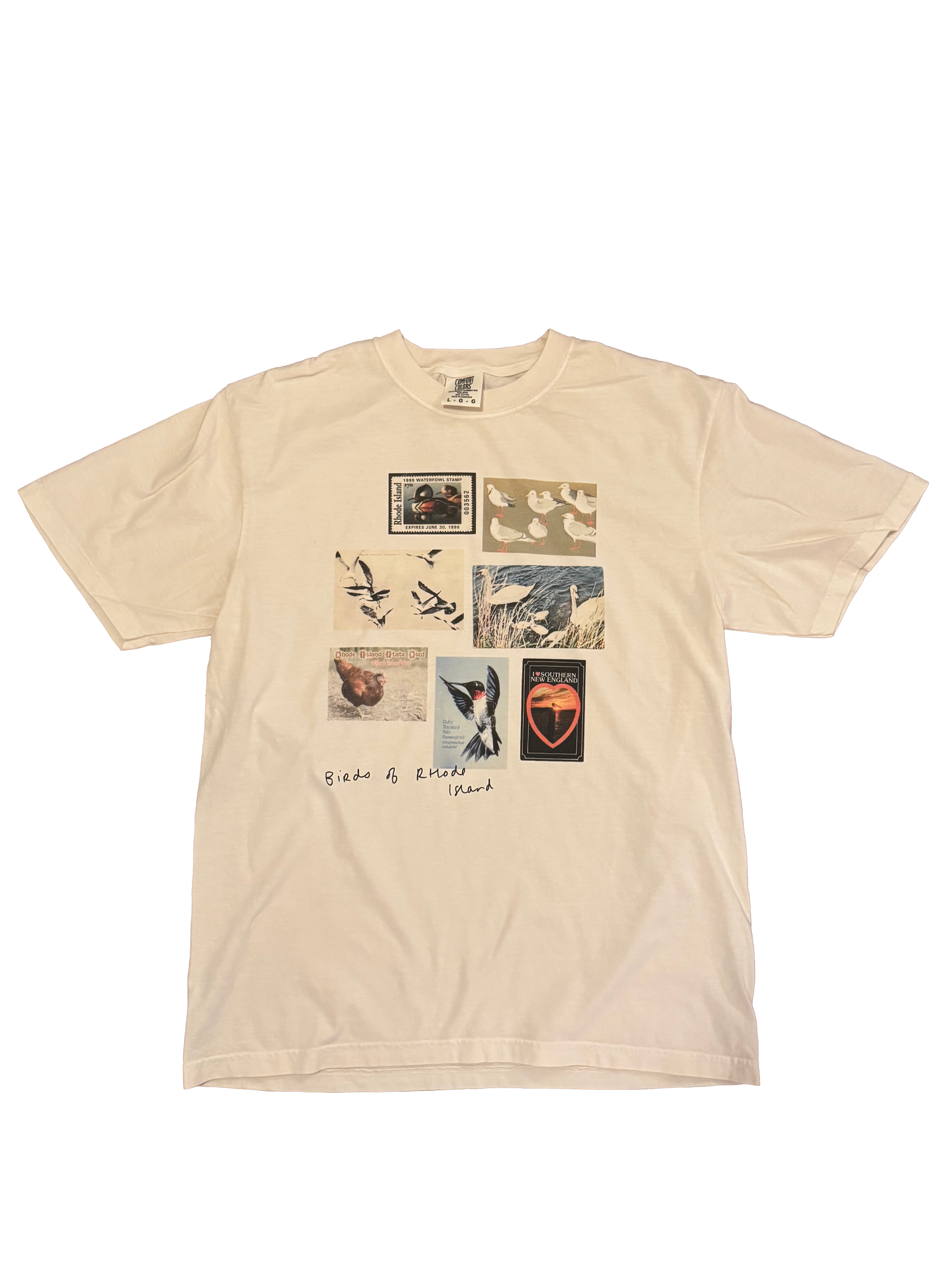 birds of rhode island shirt srose.png