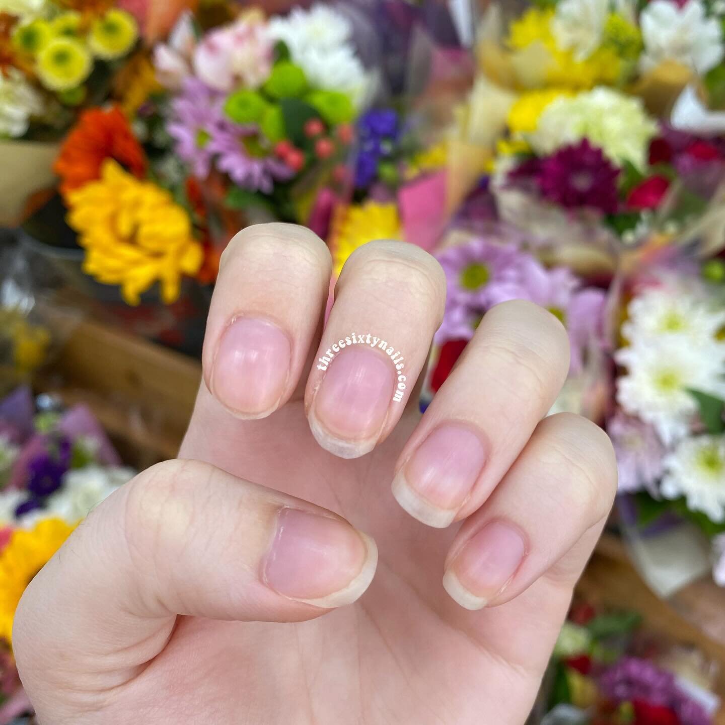 I was going through my camera roll today as I worked on my 2023 Nail Art Recap video (coming soon!) and I stumbled upon this natural &ldquo;nailfie&rdquo; that I never posted! 🤗

I LOVE the pretty flowers in the background and this is one of those t