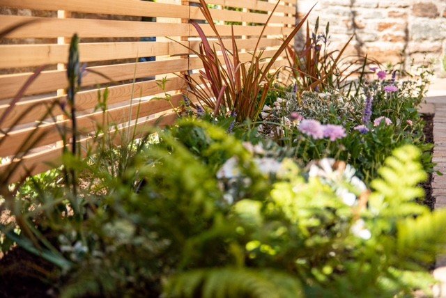 A close-up view of a garden with various green plants and flowers in front of a wooden privacy fence.