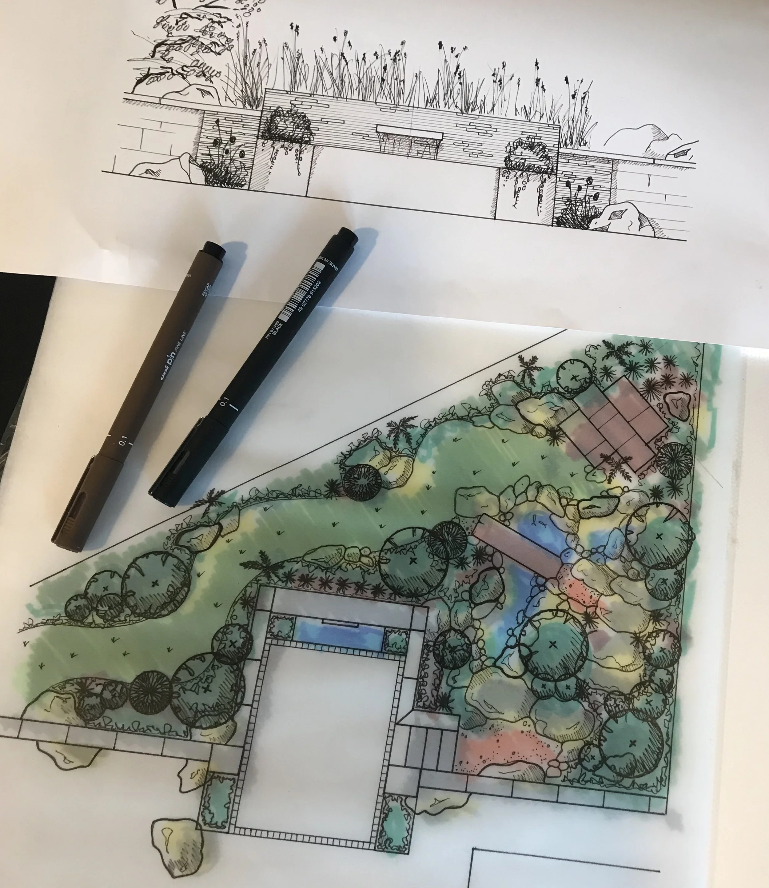 Colorful landscape garden design plans with trees, rocks, and a pool, featuring markers and sketch sketches, views on white sheets paper.