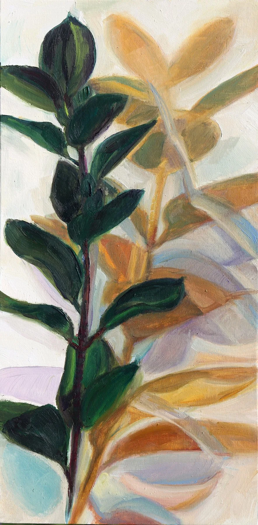 Shadow play, 6x12, 2024