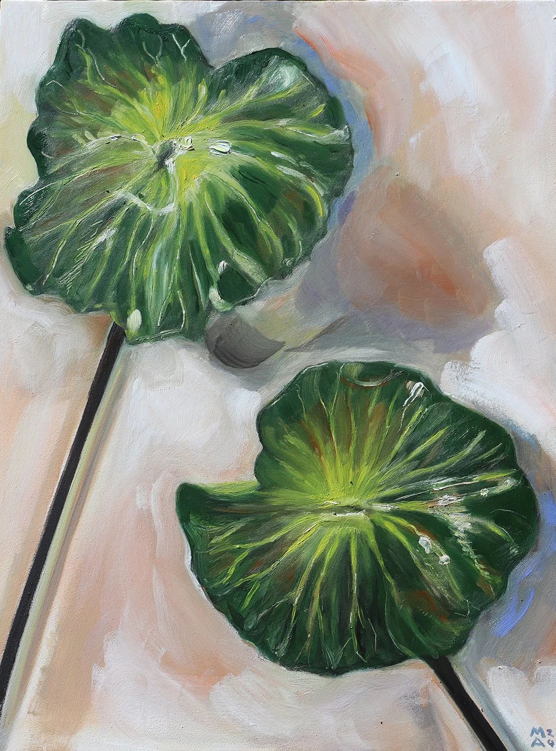 Lily Pads. 12x20, 2024