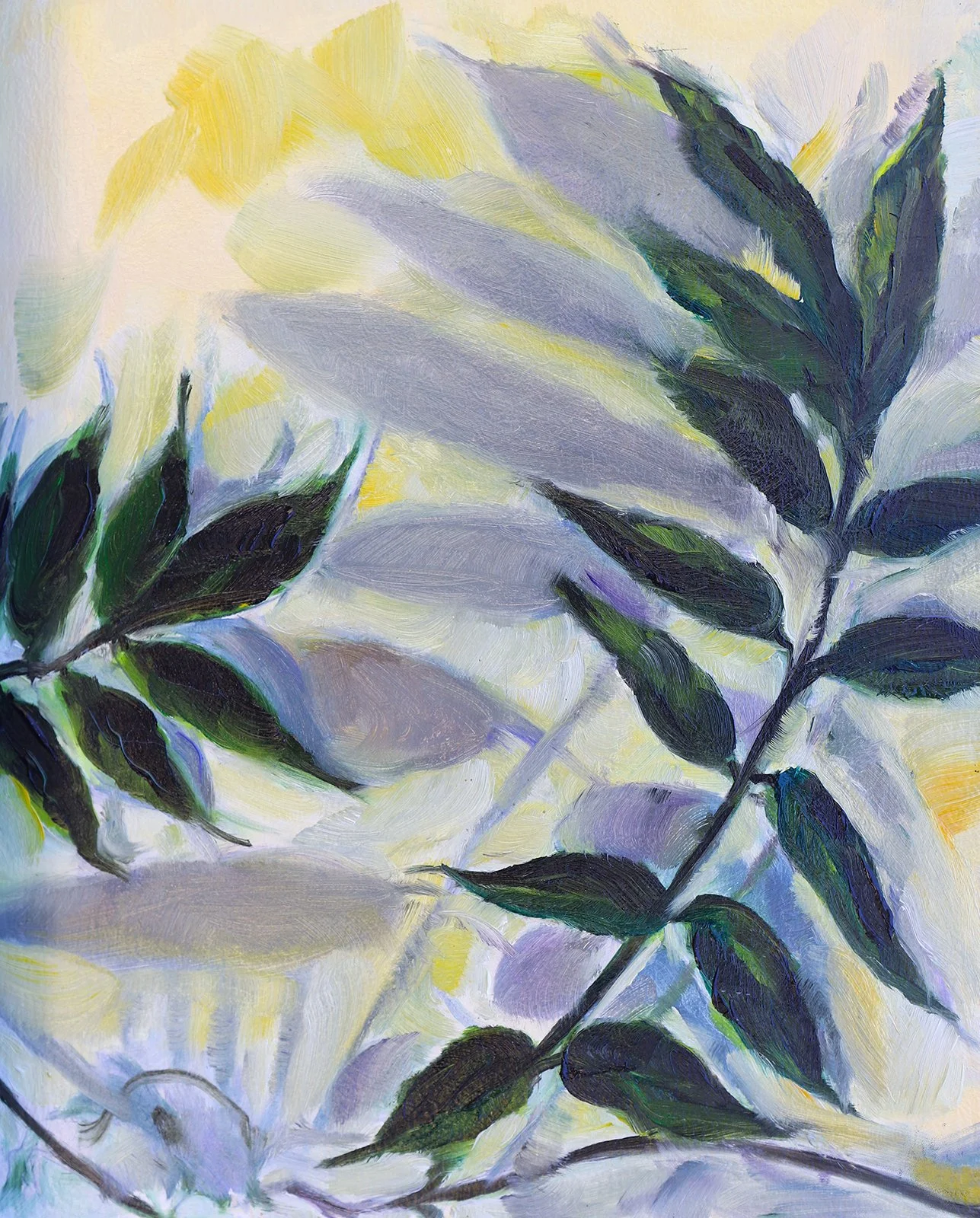 Plant and Shadow, 8x10" 2024