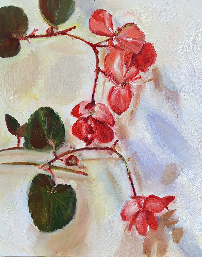 Begonia, 8x10" 2024