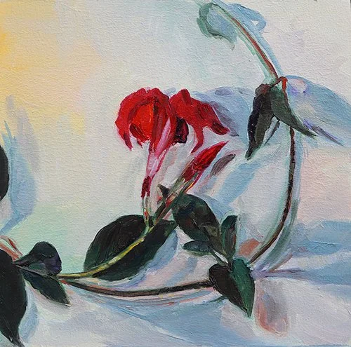 Mandevilla, 8x8" 2023