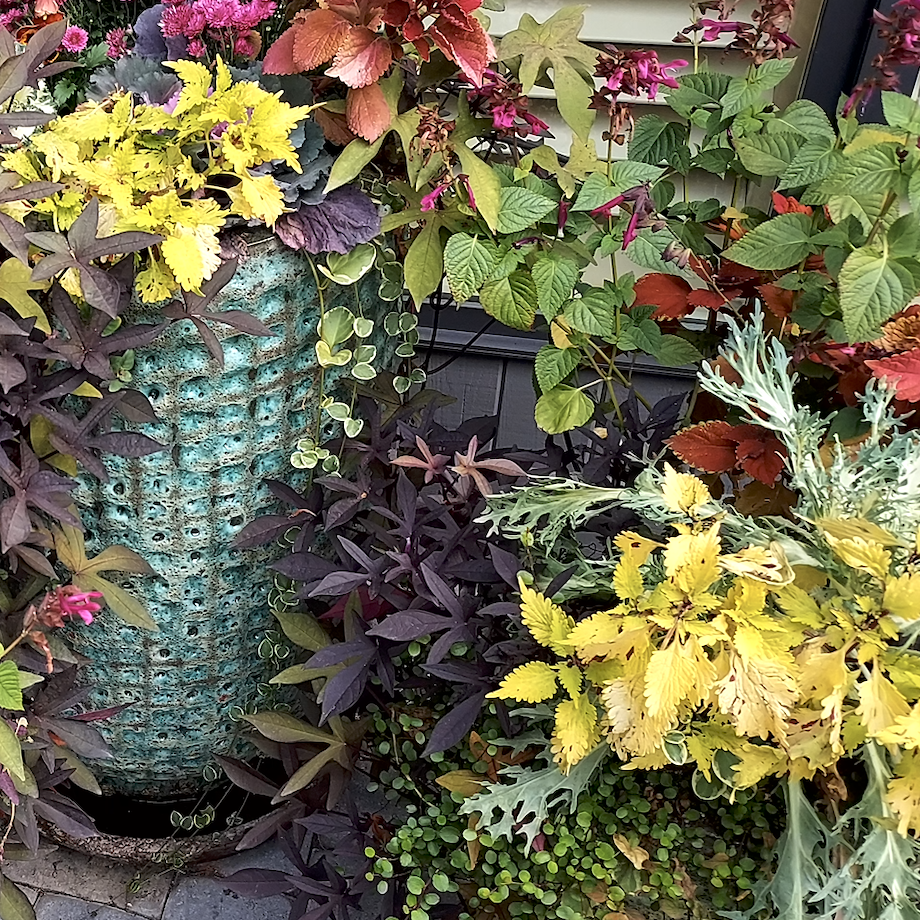 Partial Shade Containers