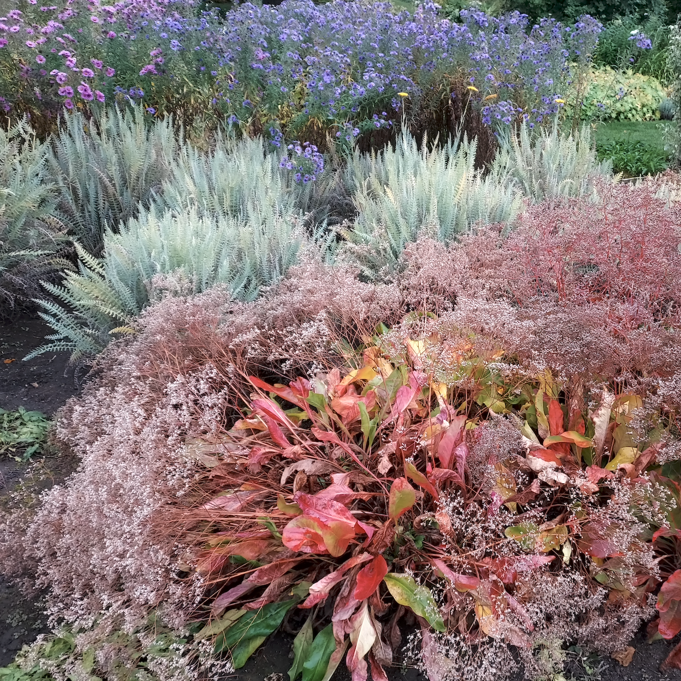Autumn Layers