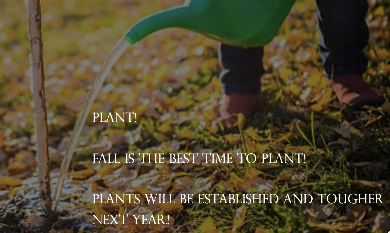 Screenshot 2026-10-02 at 9.04.51 AM.png