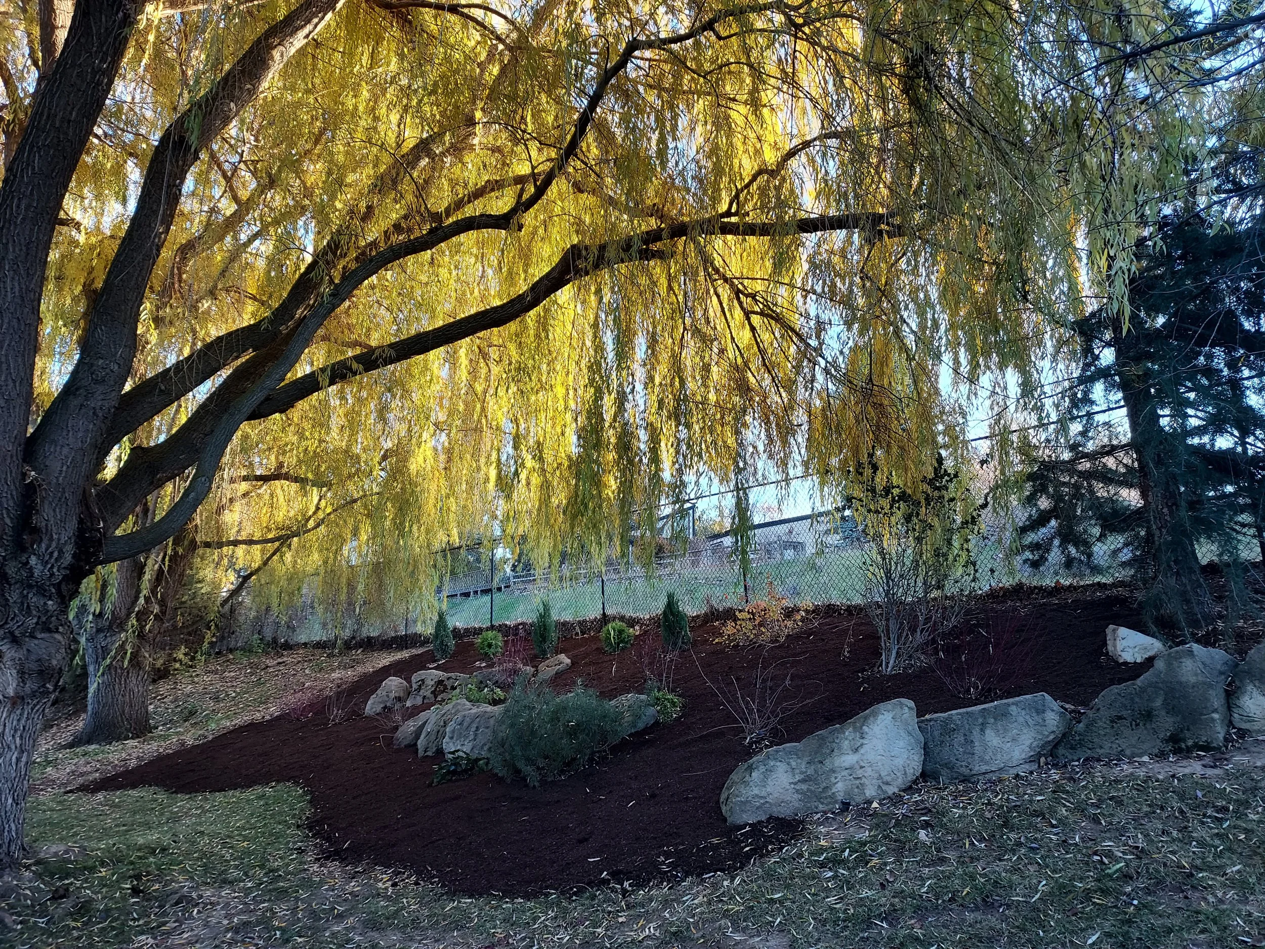 2023.11Nov_Mulch_LG-6.jpg
