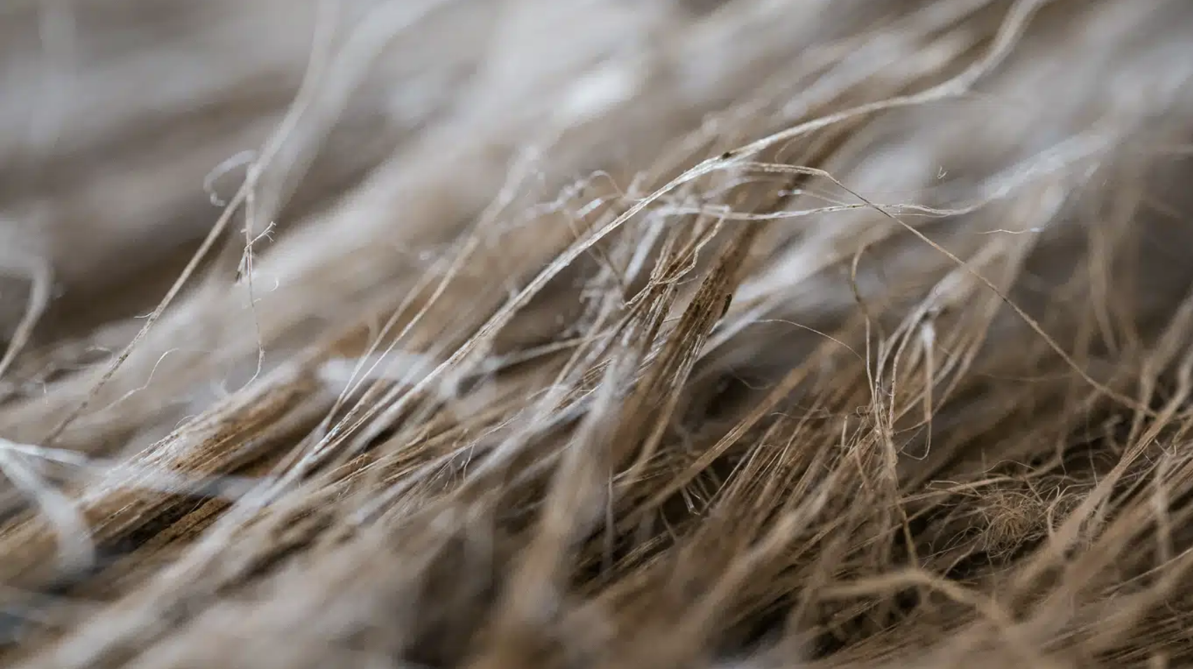 BKRK-award 2026 Fibres