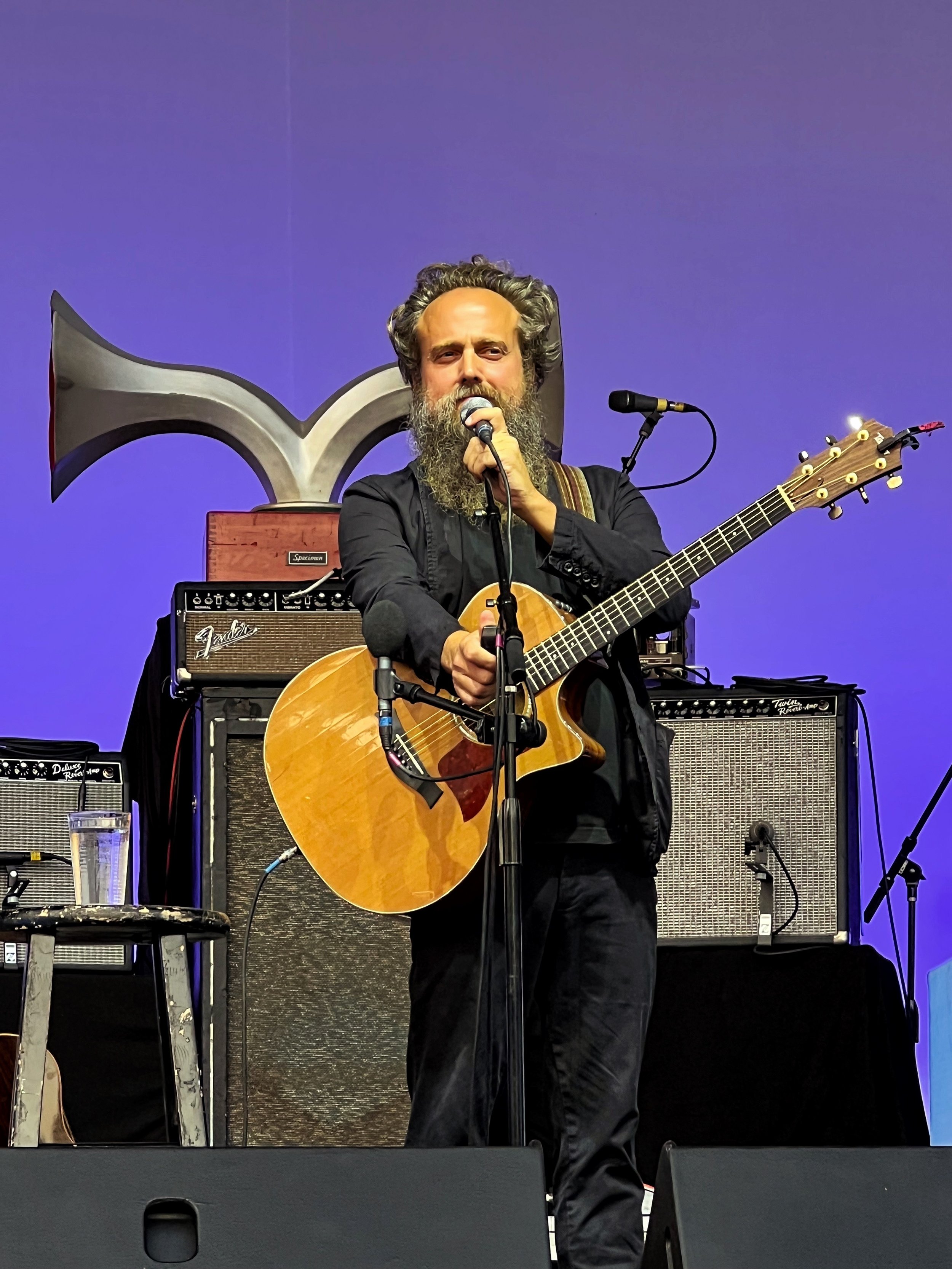 iron and wine.jpg