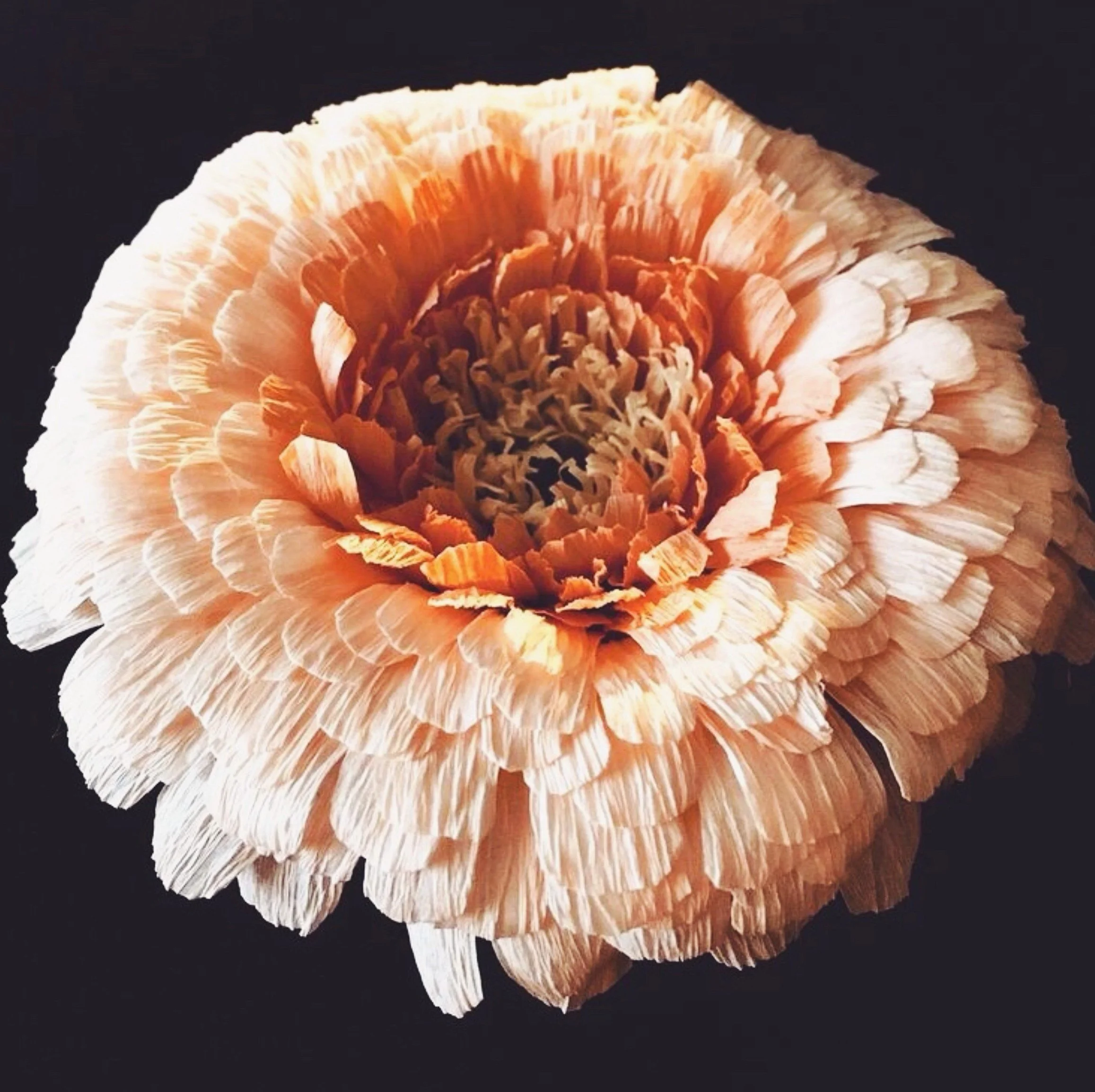 paper flower.jpg