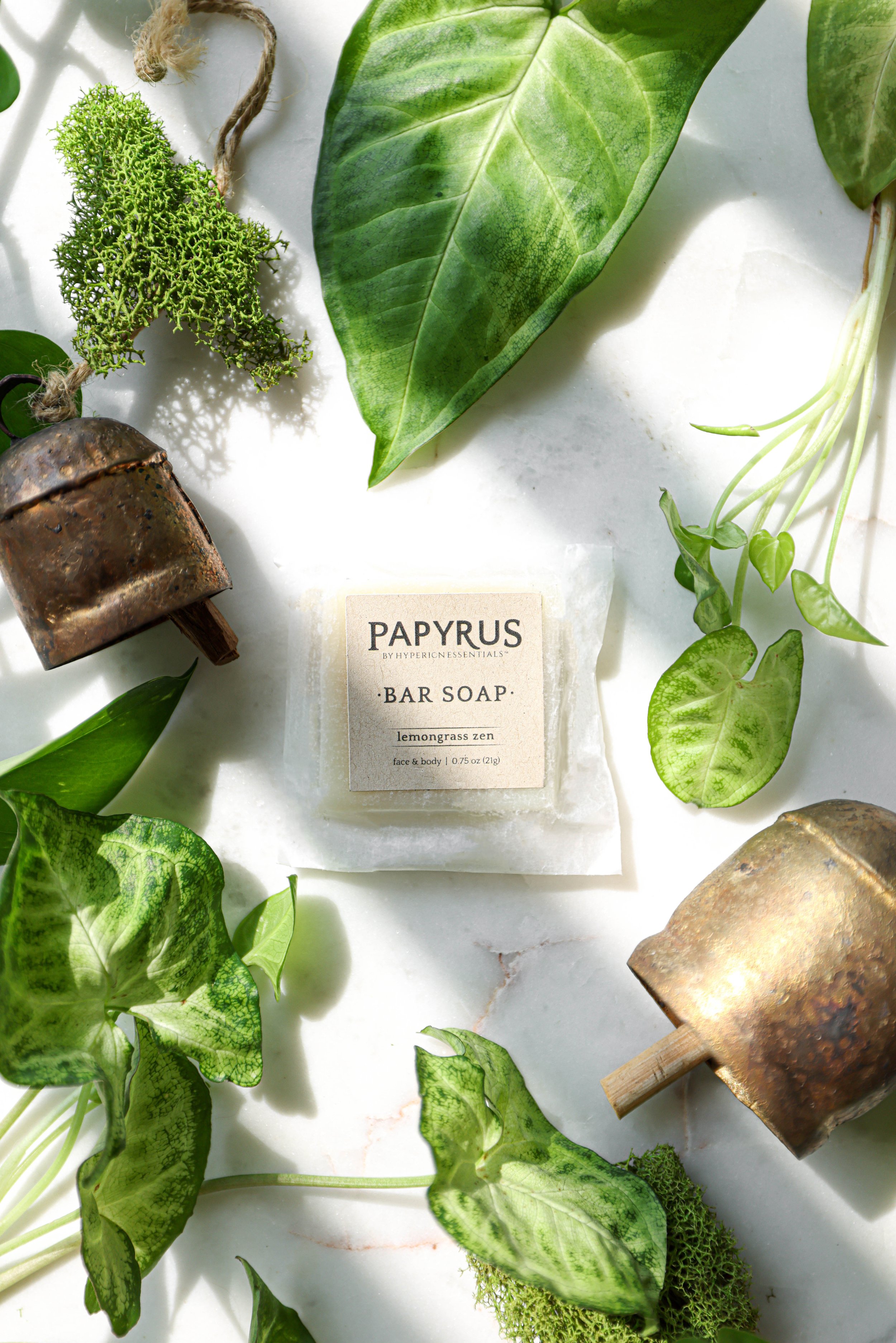 soap bar.jpg