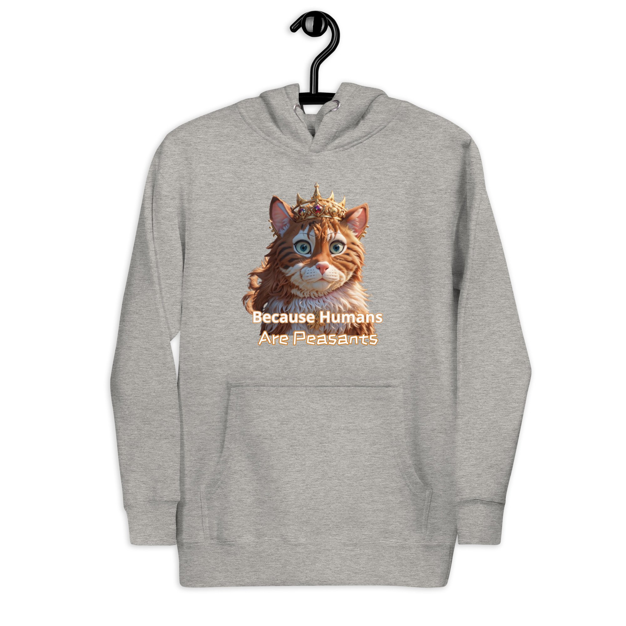 unisex-premium-hoodie-carbon-grey-front-65ca6390c41ab.jpg