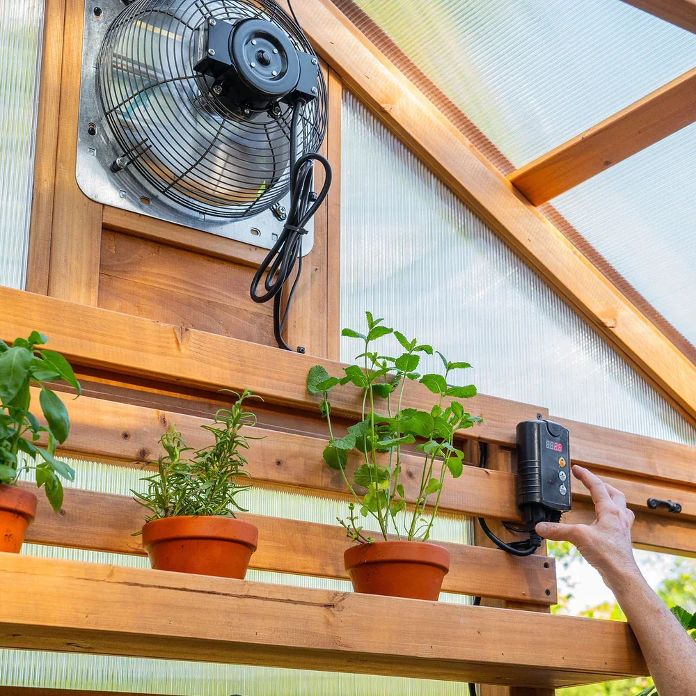 byd-greenhouses-bellerose-product-page-rooted-in-flora-forward-features-temp-activated-exhaust-fan.webp