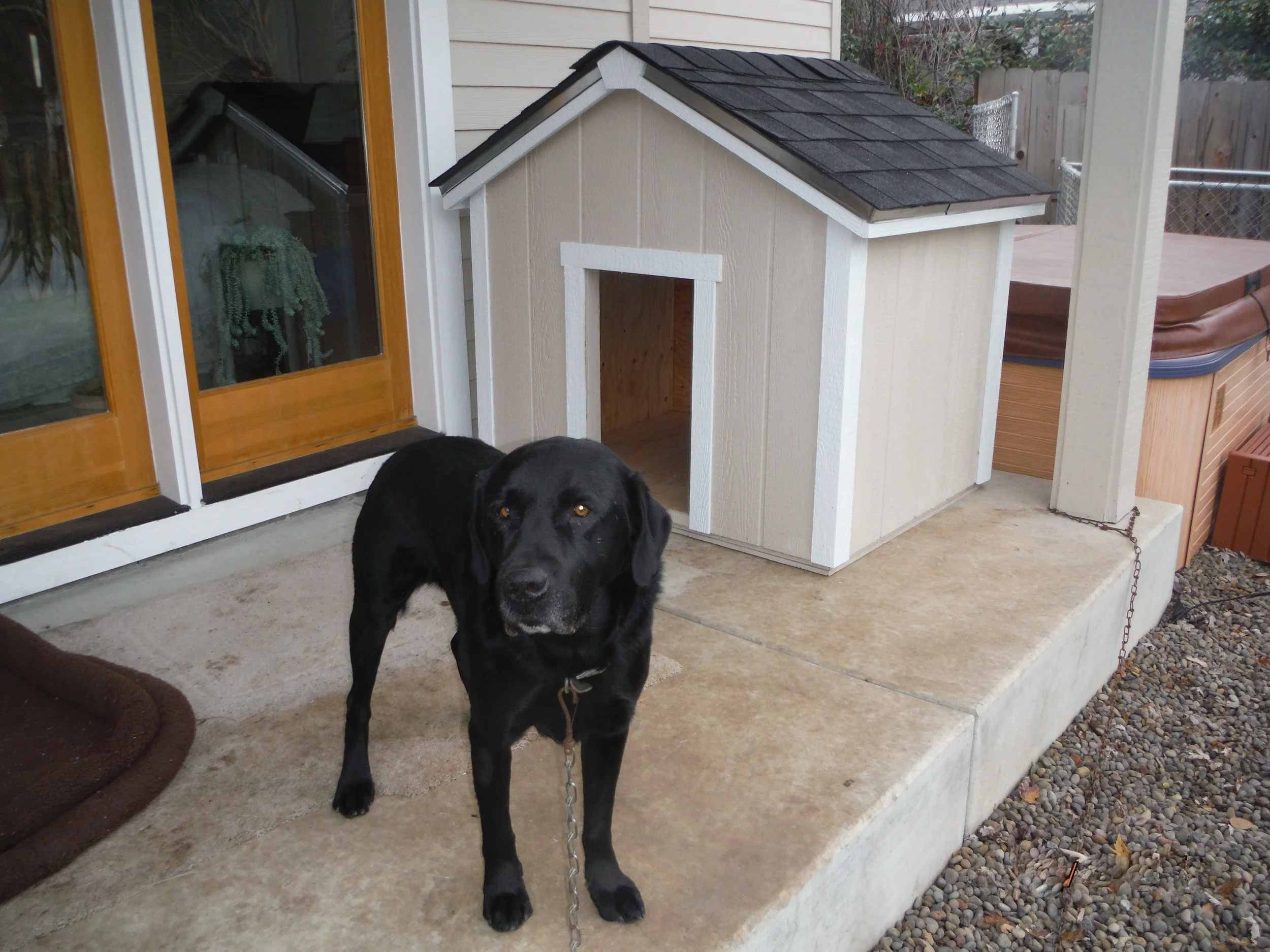 Dog House Gallery — The Shed Guys