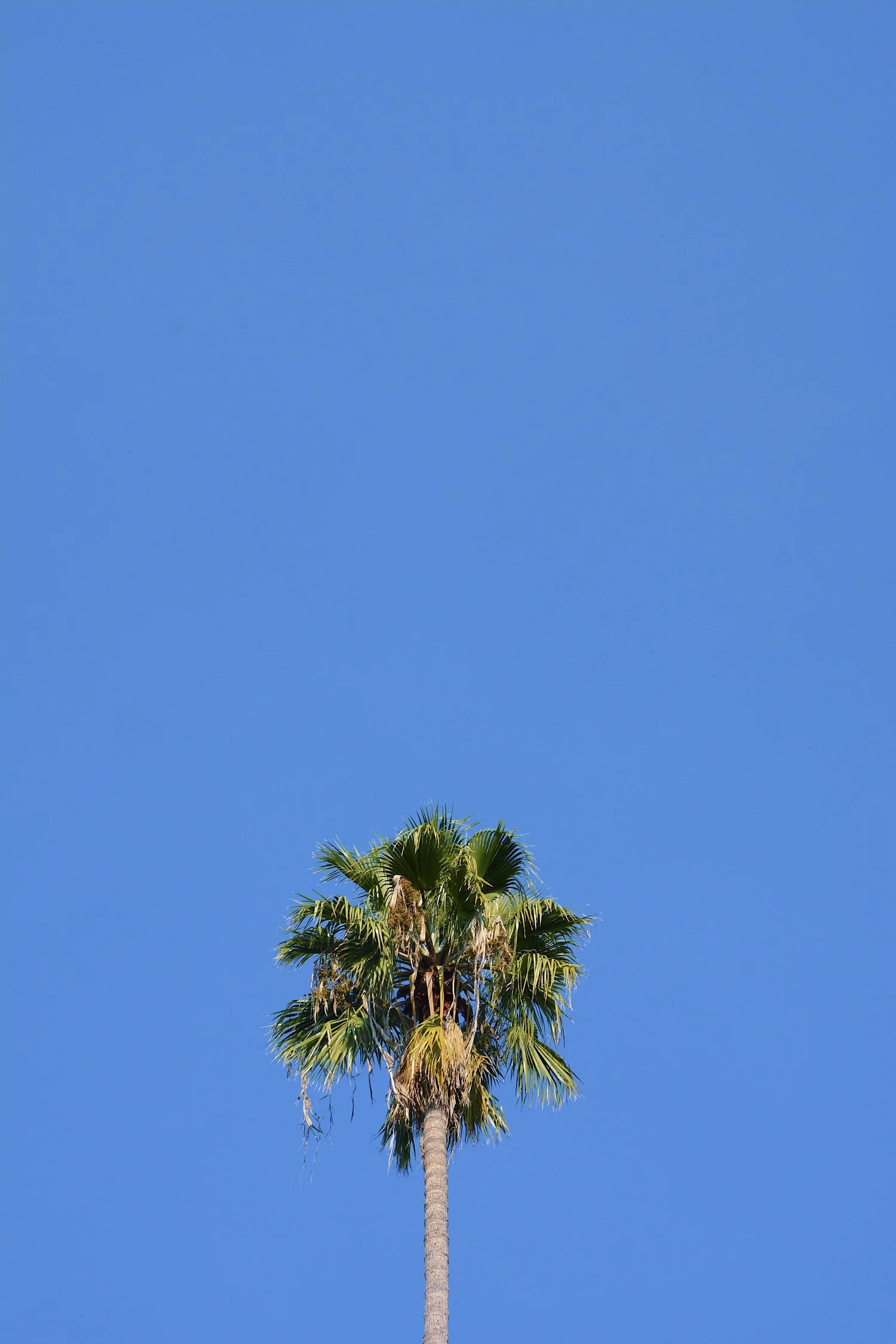 california, 2018