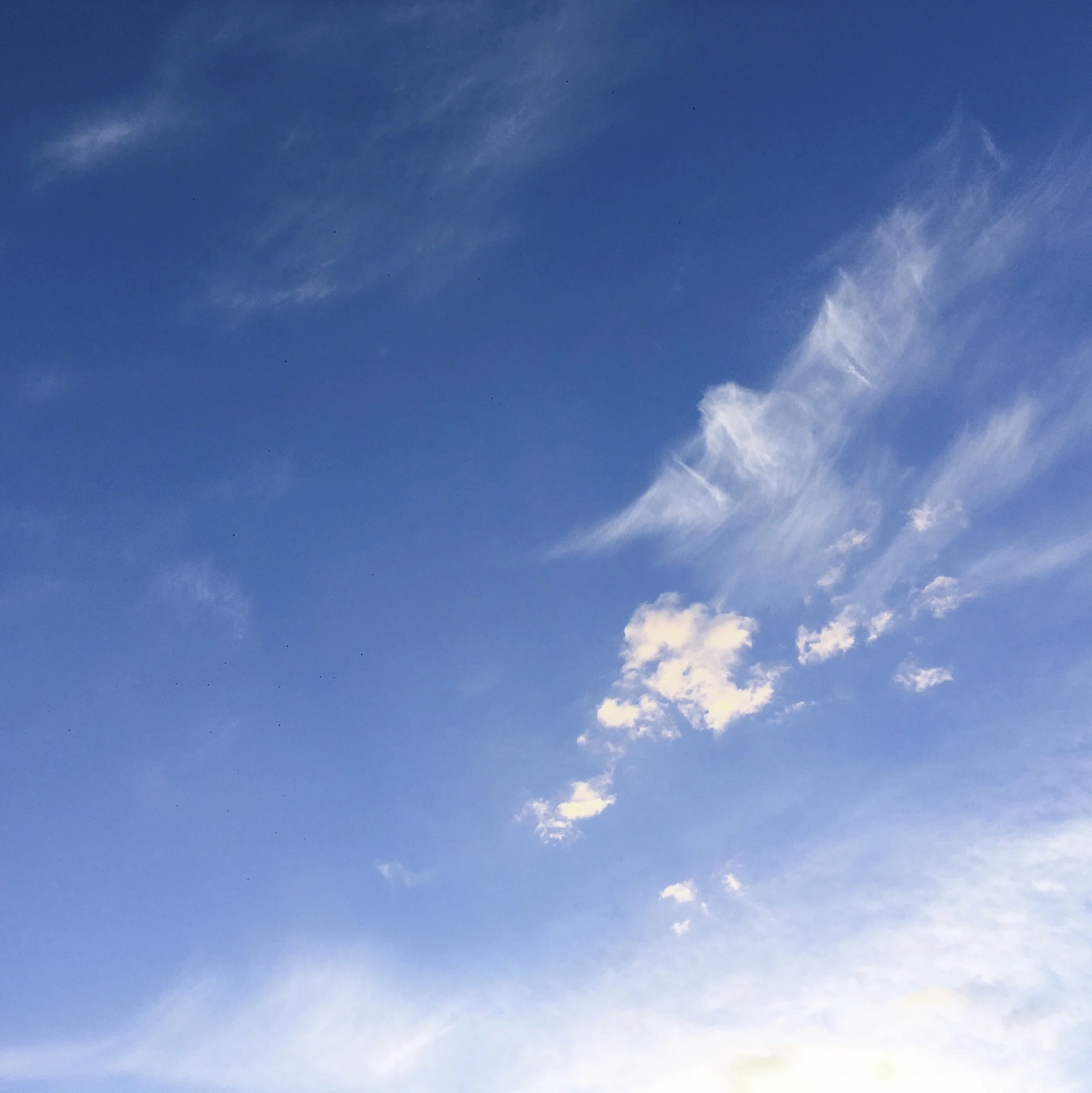 of the blue colour of the sky