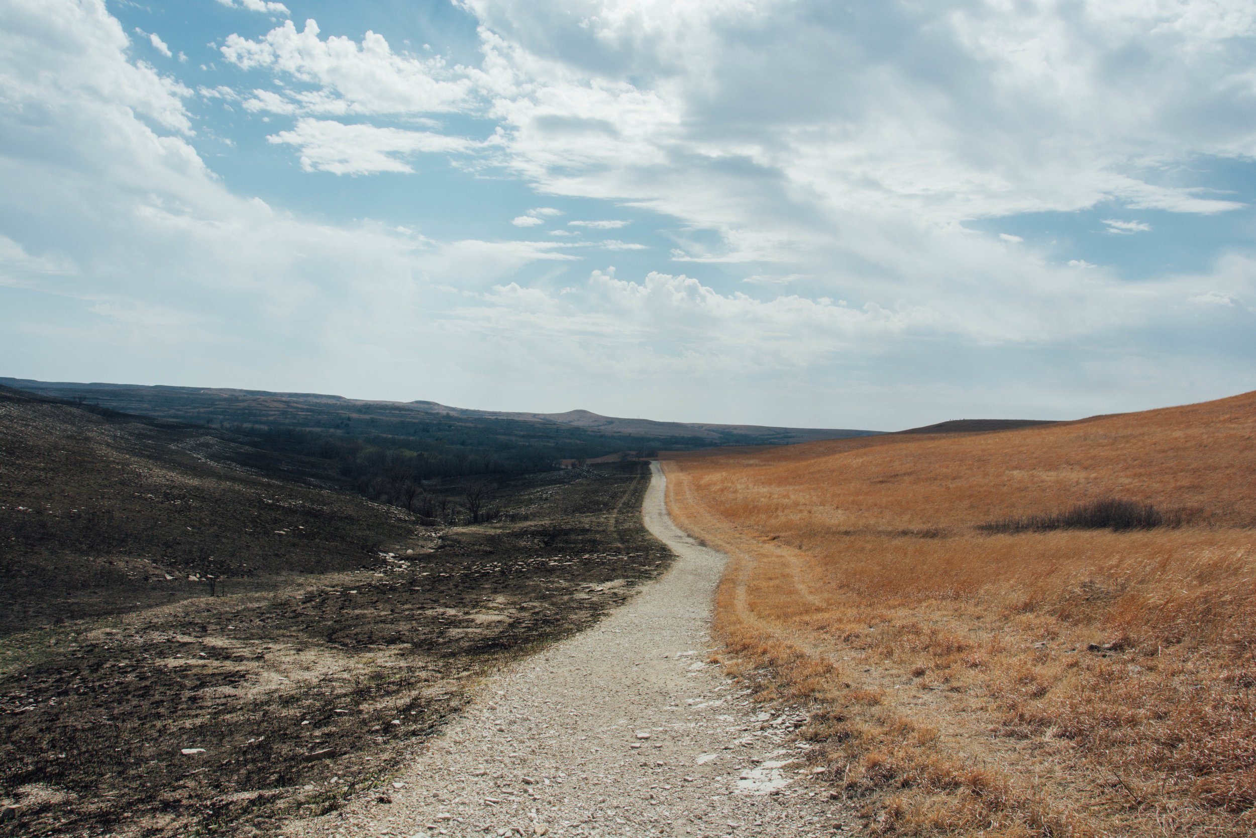 konza prairie, 2017