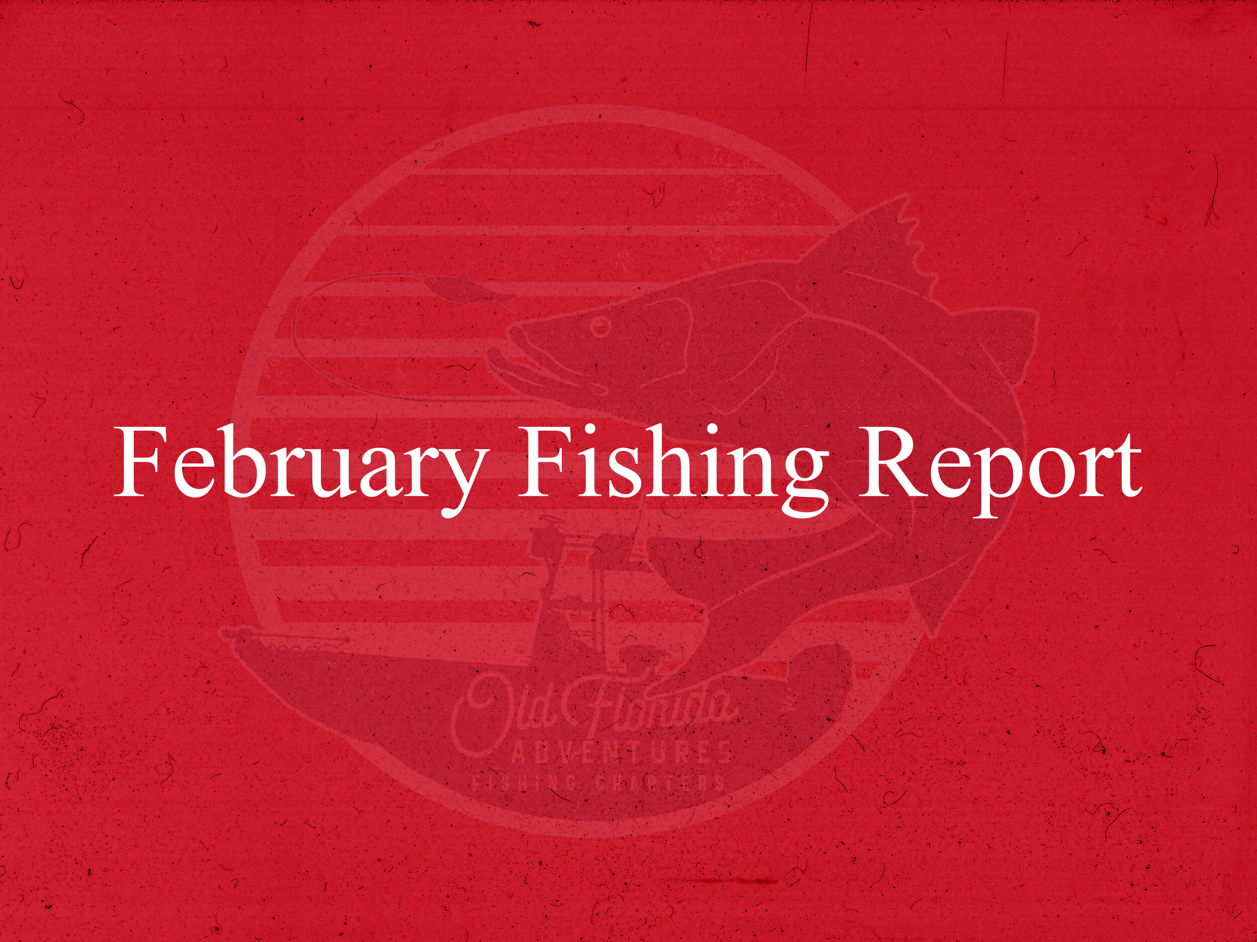 February Fishing Report.jpg