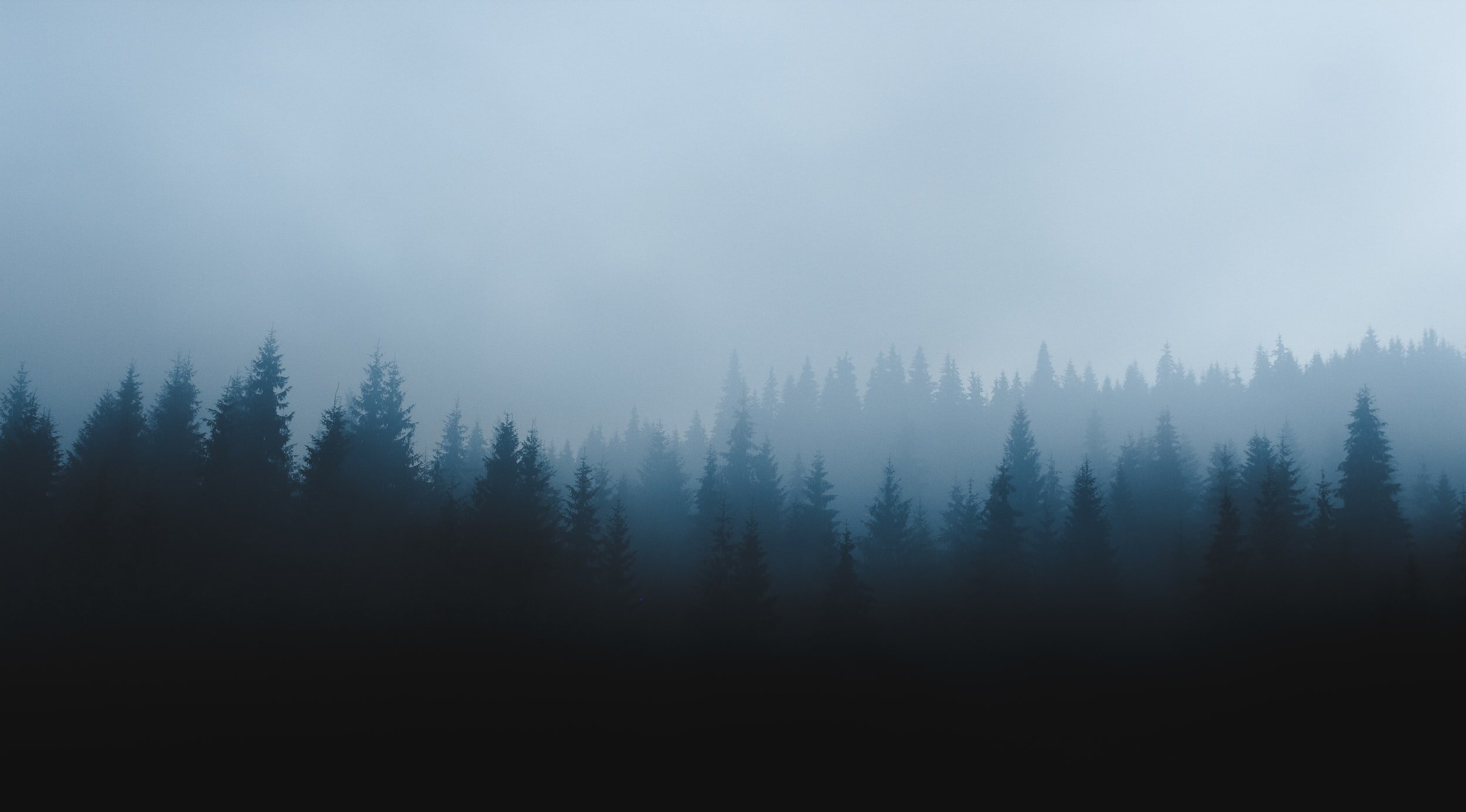 unsplash-image-3_5zd-OWe5Q.jpg