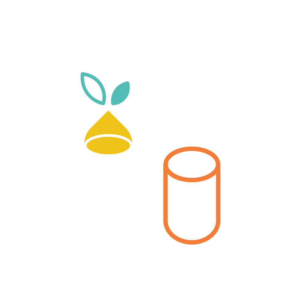 Simple line drawing of a capsule pill with a yellow seed and two teal leaves.