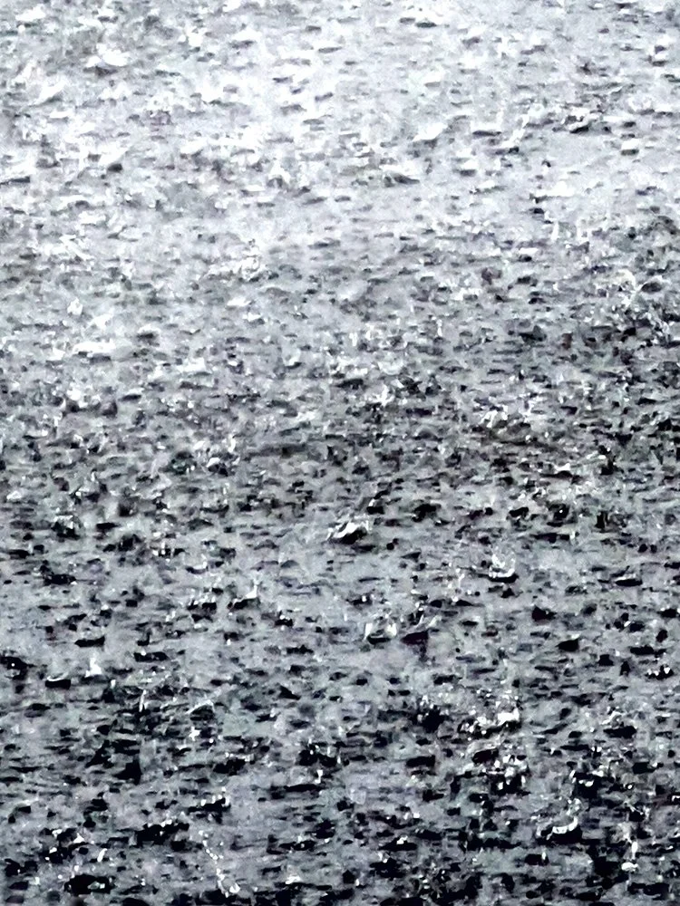 MONSOON REFLECTIONS