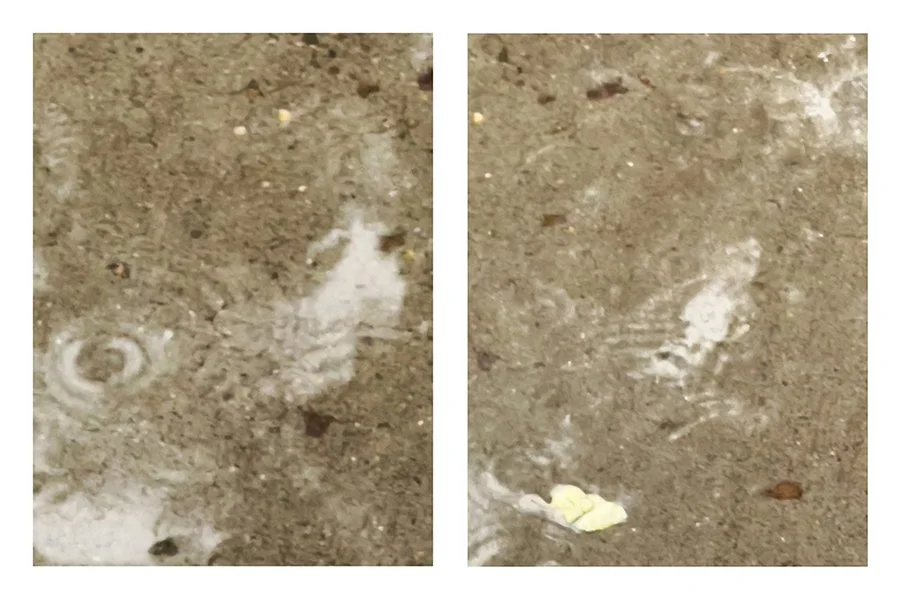 VANISHING STORM DIPTYCH