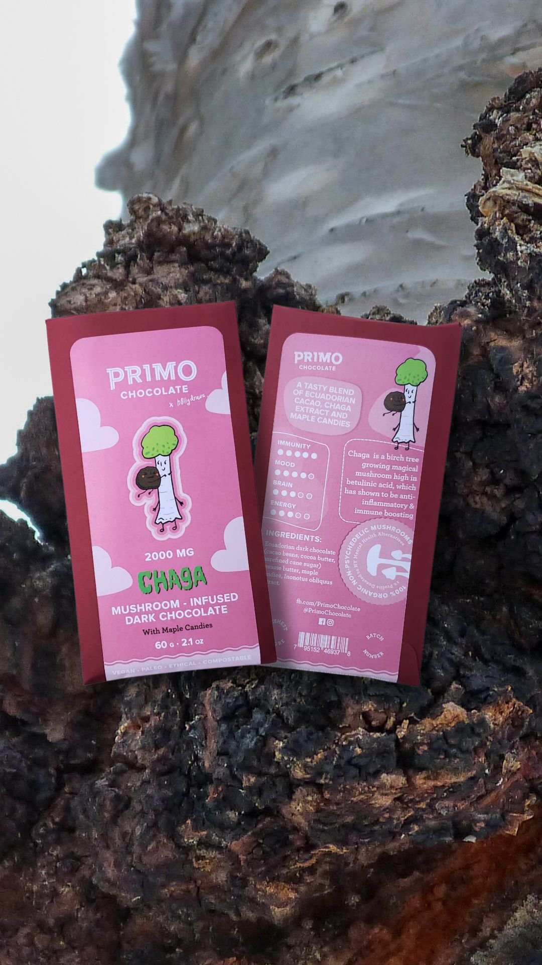 Chaga Bar w mush back.jpeg