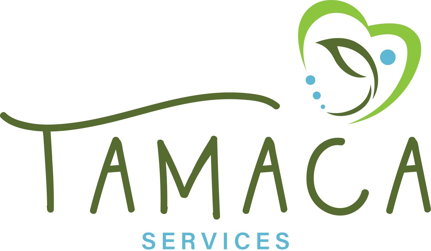 Tamaca Services Inc.