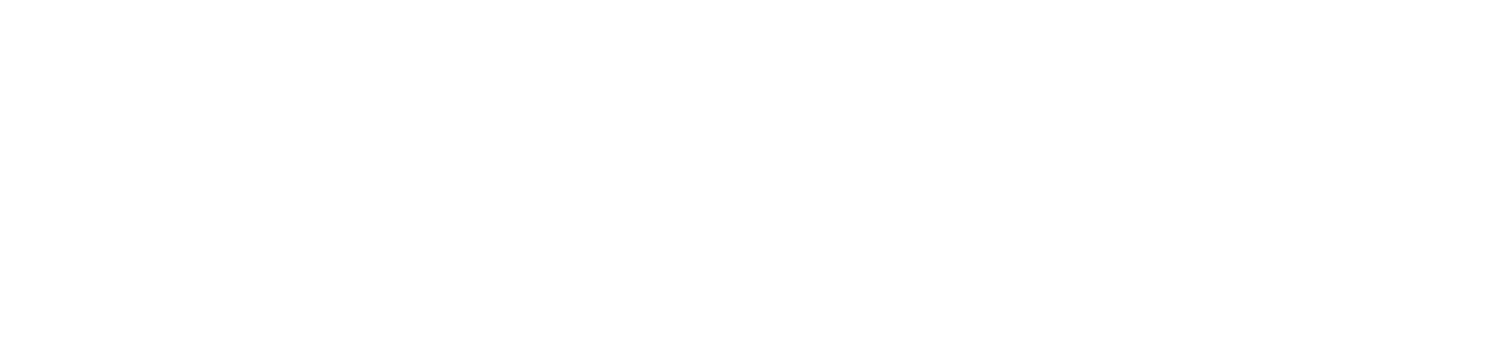SoulSeed Group