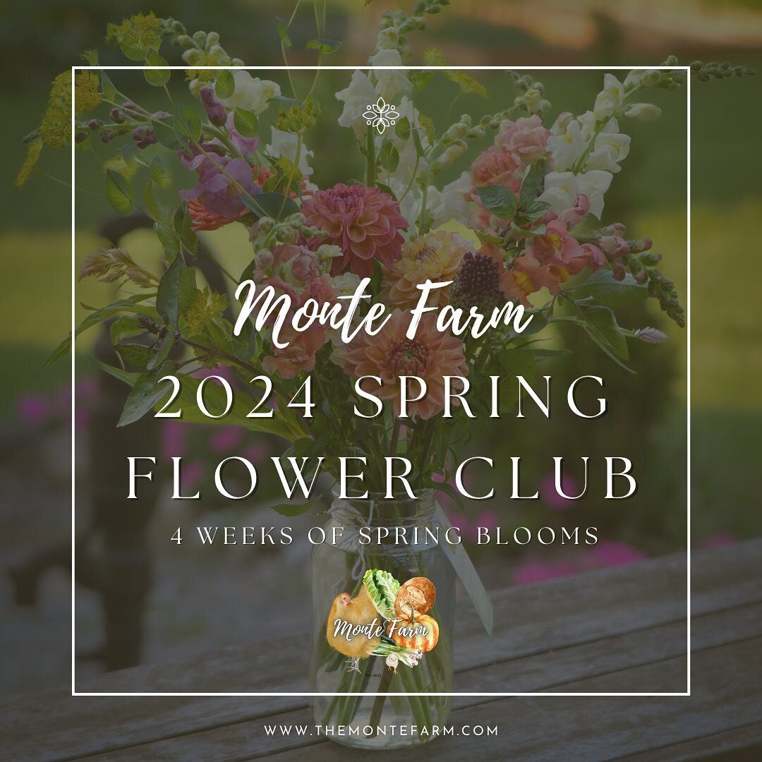 Monte Farm Spring Flower Club is open! 💐
Visit TheMonteFarm.com to reserve your blooms!
This 4 week subscription is like a little portal of joy.

Monte Farm makes it easy to enjoy these special flowers.

Your Choice:

1- Free pickup at the Farm in I