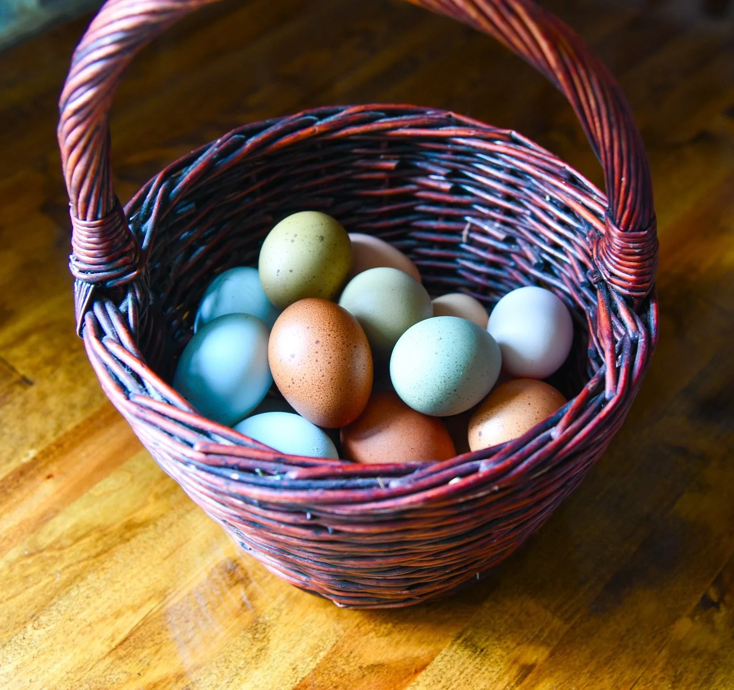 Eggs, eggs, eggs, where are the eggs?
Did you know consumer demand for fresh eggs is highest September-February? We see the demand increase like clockwork year after year.
Did you know that egg supply is lowest during that exact same time period?? 😅