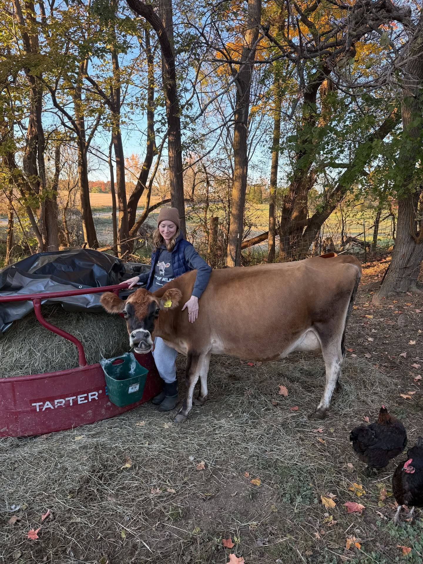 Autumn on the farm 🍁
Lots has happened the past few months here on the farm. I feel like the autumn healed summer&rsquo;s wounds. Intentionally slowing down &amp; savoring the little moments has a powerful effect. 
Grazing season has come to a close
