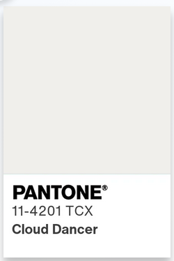 pantone swatch.PNG