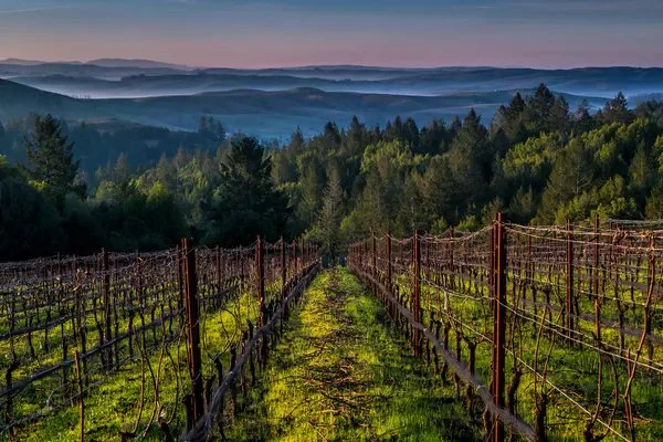 Flanagan Winemaker’s Dinner
