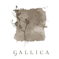 gallica-800HW.jpg